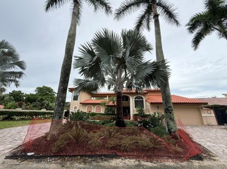 Front entry island with mature palms before the redesign