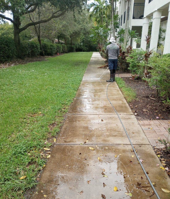 Walkway before pressure cleaning