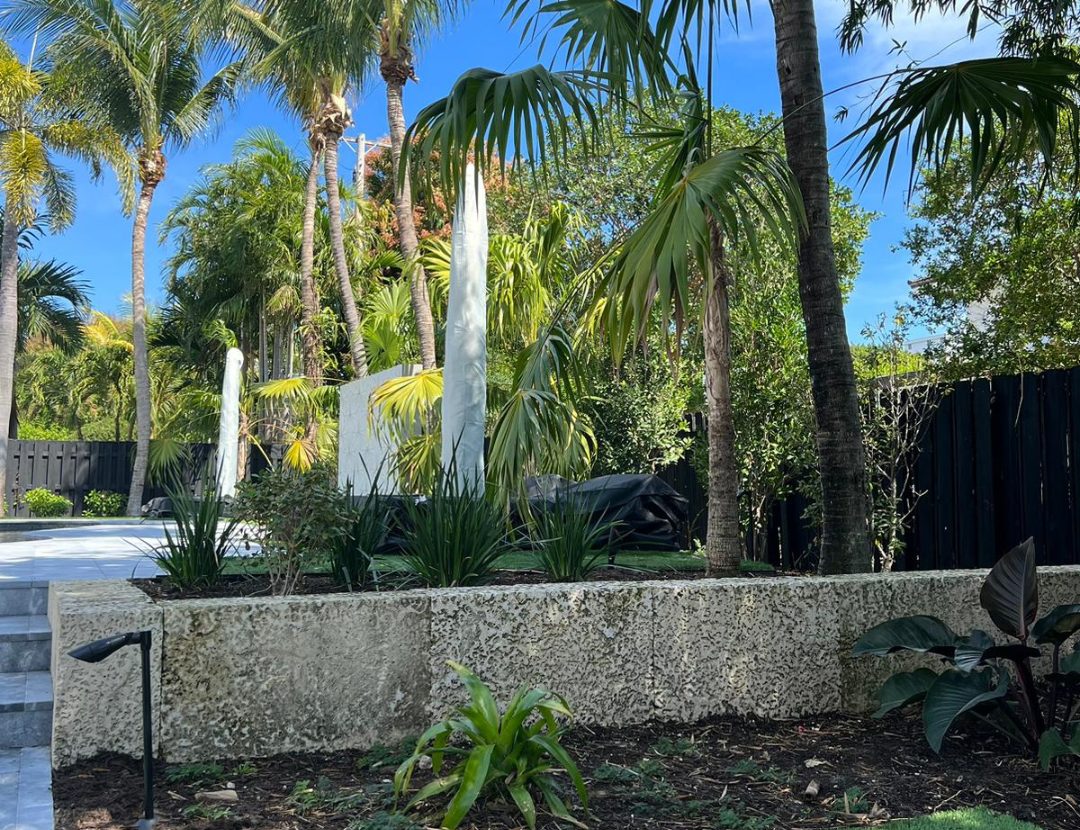 Tropical planting, palms and coral-stone wall at a private residence