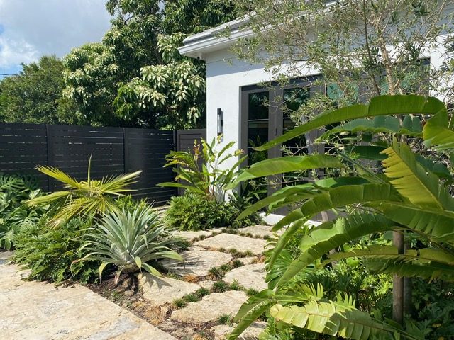 Tropical entry garden with natural flagstone path